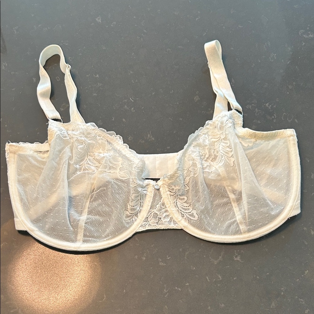 Sheer Lace Underwire Bra in Off-White